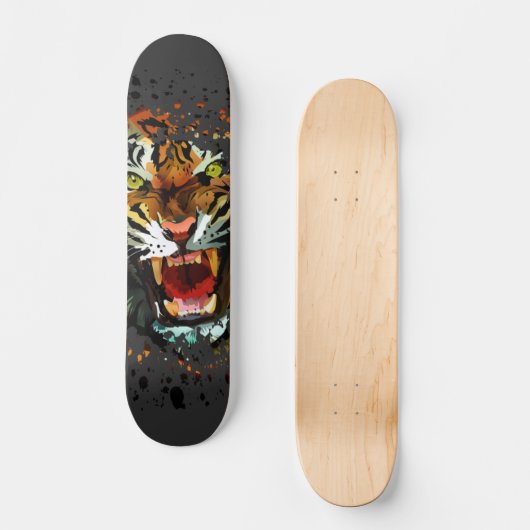 Skateboard Tiger (Recto)