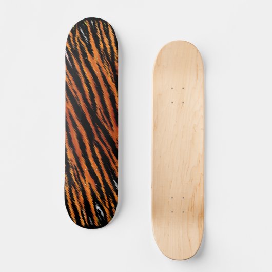 Skateboard Tiger (Recto)