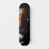 Skateboard Tiger Portrait (Recto)
