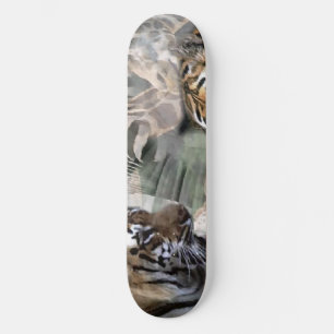 Skateboard Tigre, Zèbre, Amateurs de girafe