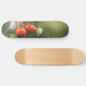 Skateboard tomates mouillées sur la vigne (Horz)