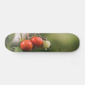 Skateboard tomates mouillées sur la vigne (Horz)