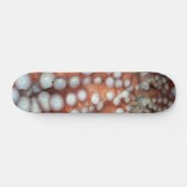 Skateboard Tomber près de la pieuvre (Horz)
