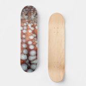 Skateboard Tomber près de la pieuvre (Recto)