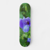 Skateboard Torenia (Recto)