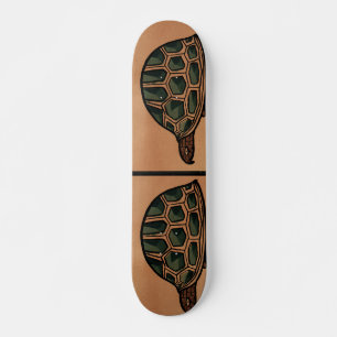 Skateboard Tortue - Antiquaire, Illustration du livre coloré