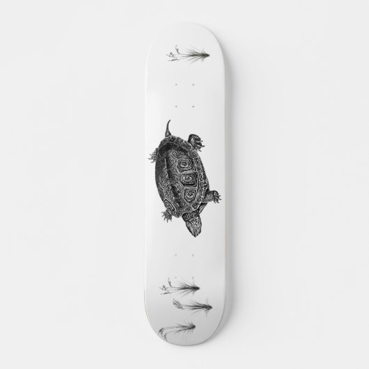 Skateboard Tortue aquatique noire et blanche (Devant)