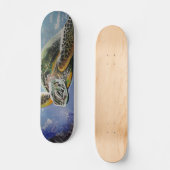 Skateboard Tortue de mer (Recto)