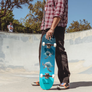 Skateboard Tortues côtières 3D