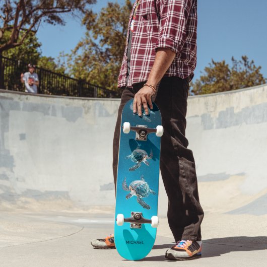 Skateboard Tortues côtières 3D (Extérieur 2)