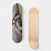 Skateboard tortues géantes (Recto)
