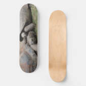 Skateboard tortues géantes (Recto)