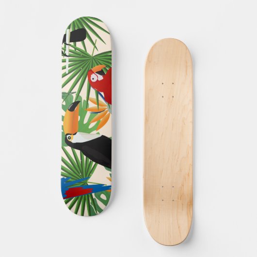 Skateboard Toucans & Parrots Pattern (Recto)
