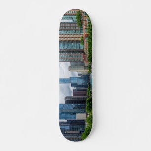 Skateboard Tour de Chicago