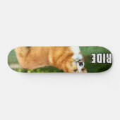 Skateboard Tour pour le corgi (Horz)