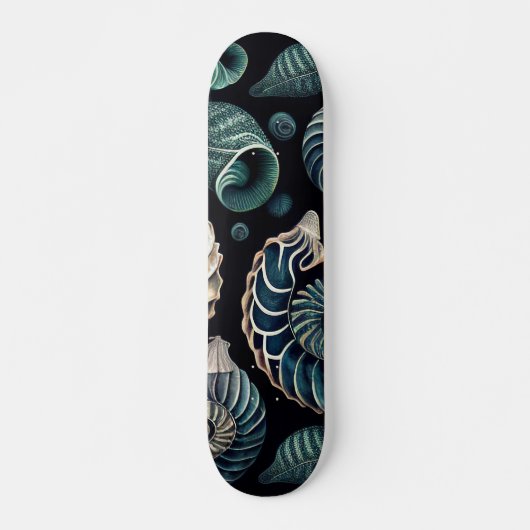 Skateboard Trésors marins (Devant)