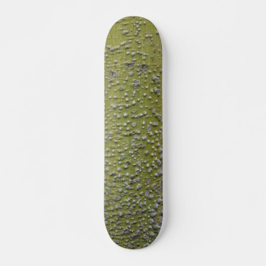Skateboard Tronc d'arbre épineux vert (Devant)