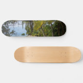 Skateboard Tropical Grove (Horz)