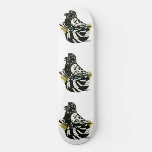 Skateboard Trumpeter Pigeon Dark Splash (Recto)