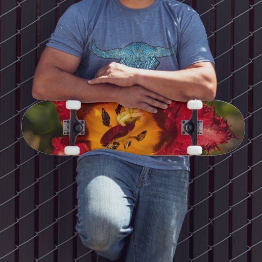 Skateboard Tuliforme rouge (Extérieur 3)