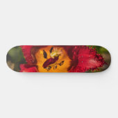 Skateboard Tuliforme rouge (Horz)