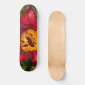 Skateboard Tuliforme rouge (Recto)