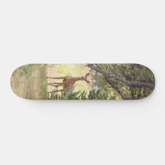 Skateboard Un cerf solitaire (Horz)