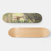 Skateboard Un cerf solitaire (Horz)