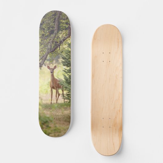 Skateboard Un cerf solitaire (Recto)