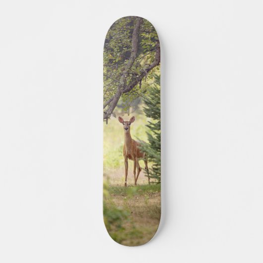 Skateboard Un cerf solitaire (Devant)