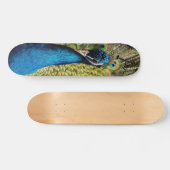 Skateboard Un paon caché (Horz)