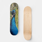 Skateboard Un paon caché (Recto)