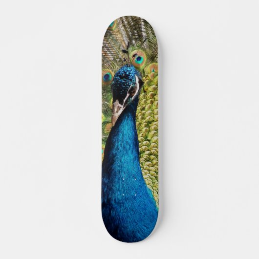 Skateboard Un paon caché (Devant)