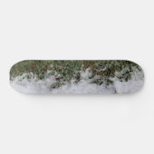 Skateboard Un Peu De Neige (Horz)