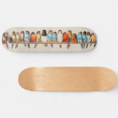Skateboard Une perche d'oiseaux illustration vintage (Horz)