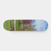 Skateboard Une saison printanière (Horz)