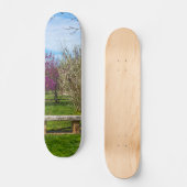 Skateboard Une saison printanière (Recto)