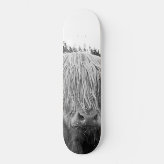 Skateboard Vache Highland #6 #mur #art (Recto)