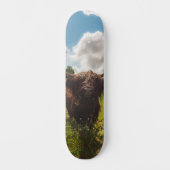 Skateboard Vache noire pâturage vert champ soleil (Recto)