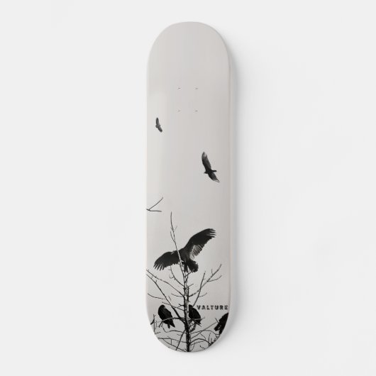 Skateboard valture (Recto)