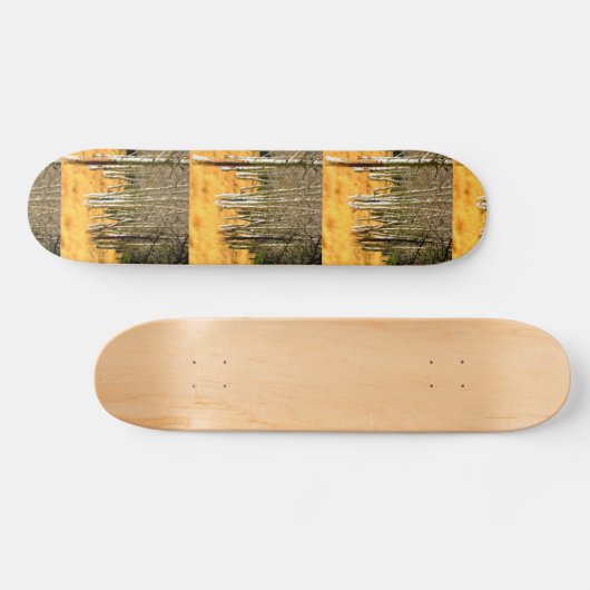 skateboard van aspen (Horizontaal)