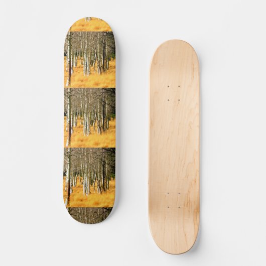 skateboard van aspen (Voorkant)