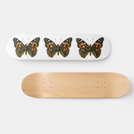 Skateboard Vanessa cardui (Horz)