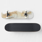 Skateboard Venus de Milo (Horz)