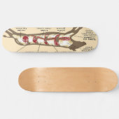 Skateboard Viande (Horz)