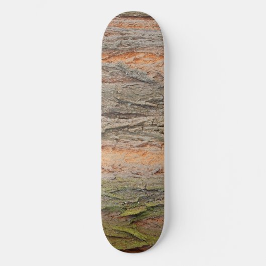 Skateboard vieille théière (Recto)