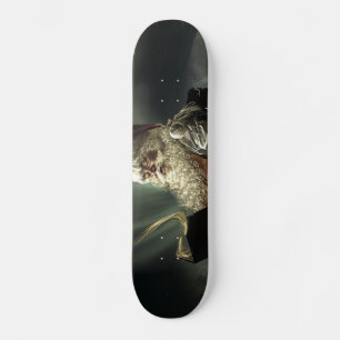 Skateboard Vieux Père Noël Lire Sa Liste