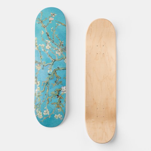 Skateboard Vincent van Gogh - Fleur d'amandes (Recto)