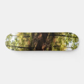 Skateboard Vitrage de forêt (Horz)