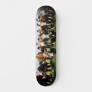 Skateboard Voir ici Cowabunga